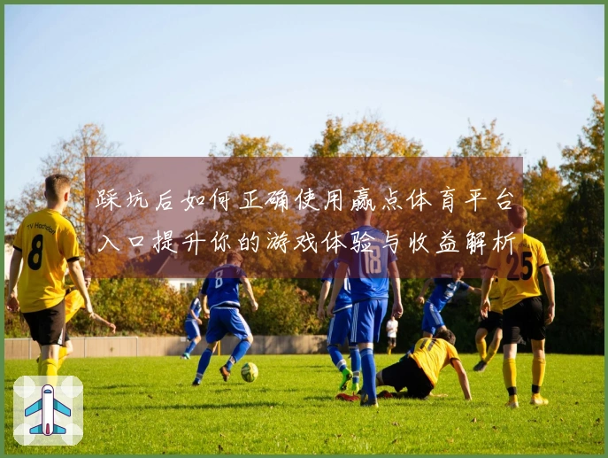 踩坑后如何正确使用赢点体育平台入口提升你的游戏体验与收益解析