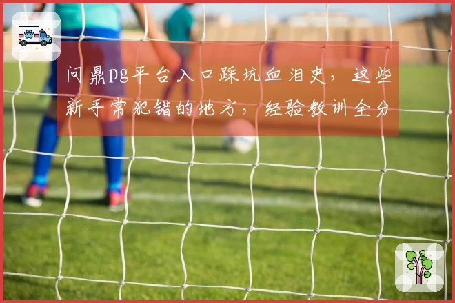 问鼎pg平台入口踩坑血泪史，这些新手常犯错的地方，经验教训全分享