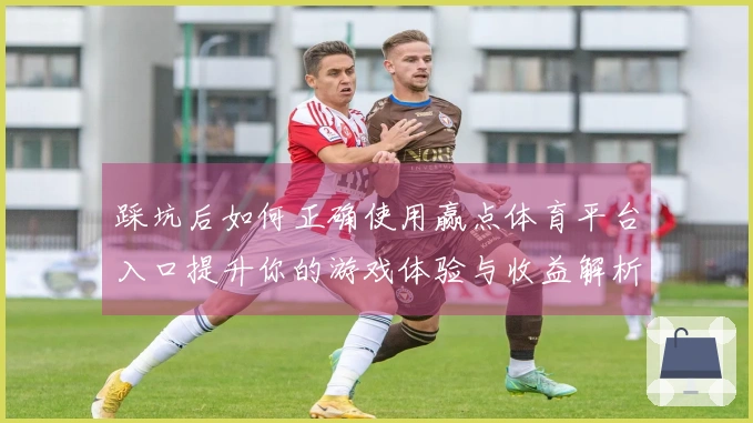 踩坑后如何正确使用赢点体育平台入口提升你的游戏体验与收益解析